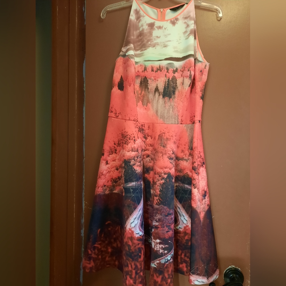 Ted Baker Road to Nowhere MINI Dress